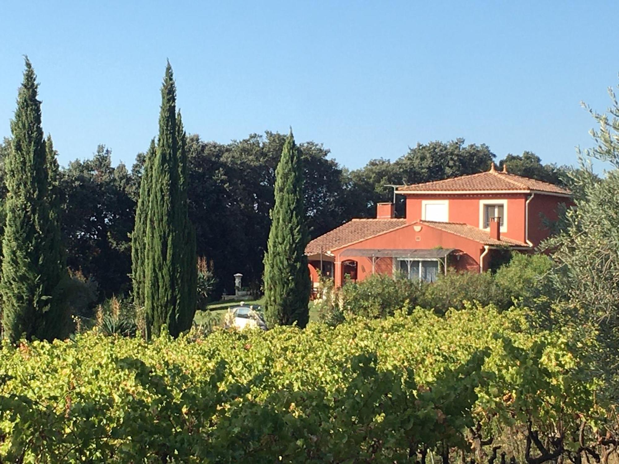 Domaine Des Lavarines Morieres-les-Avignon Exteriér fotografie